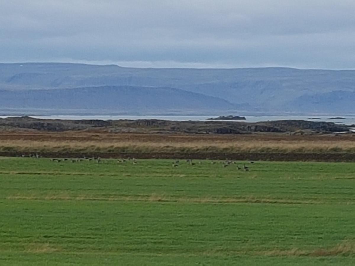 Miðjanes Reykhólahrepp Reykholar Exterior foto