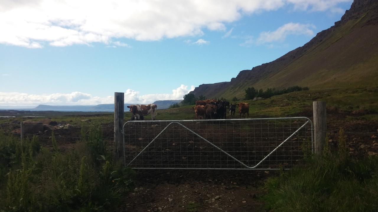 Miðjanes Reykhólahrepp Reykholar Exterior foto